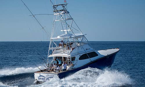 Open Fly - 50' Maverick
